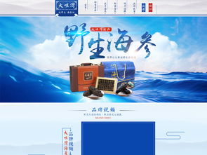 海參海鮮PSD設(shè)計素材 提升天貓?zhí)詫氻撁嬉曈X層次的專業(yè)工具